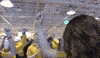 ikea enthusiasm GIF