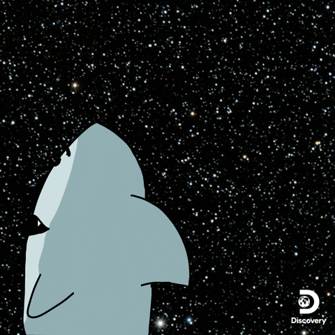 Did you know:
That sharks π¦ inhabited the Earth before trees! π³