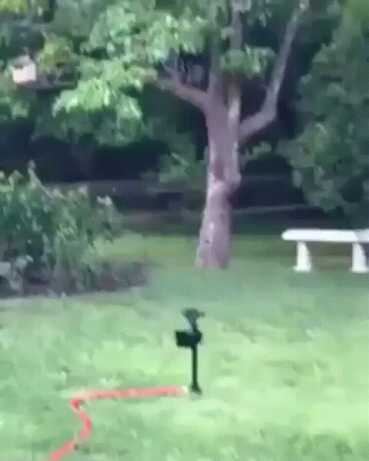 Sprinkler Fail GIF
