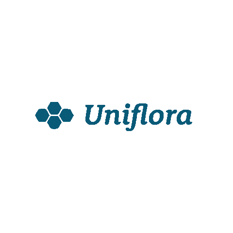 Royal Jelly Bee Sticker by Uniflora