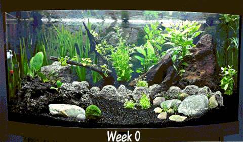 aquarium