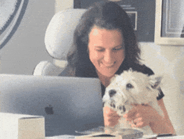 Working Work From Home GIF by Beach Boss Influencers