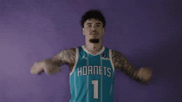 Lamelo Ball Basketball GIF by Charlotte Hornets