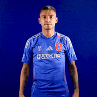 Charles Aránguiz 20