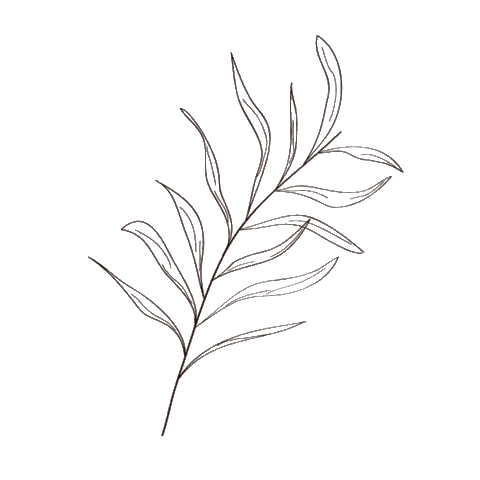 Natural Sticker