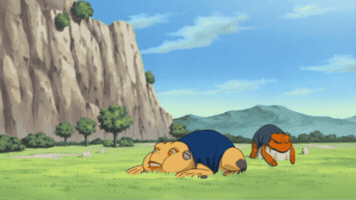 Frog Gamatatsu GIF