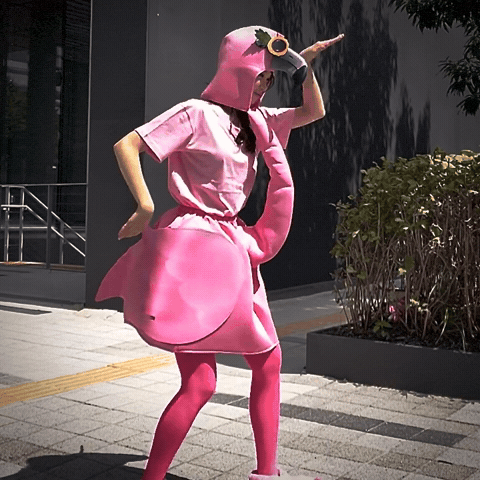 Bird Dancing GIF