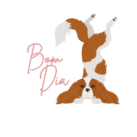 Dra Beatriz Garetti Sticker