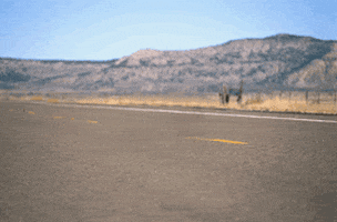 200_s.gif