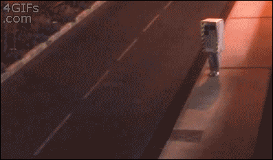 giphy.gif?cid=cd381a3e5d3b576c6f7042716f