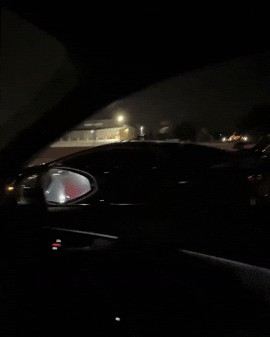 Svj GIF by The Exotics Network