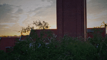 Good Morning College GIF by University of Florida