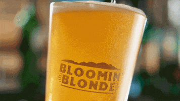 cold beer GIF by Outback Steakhouse