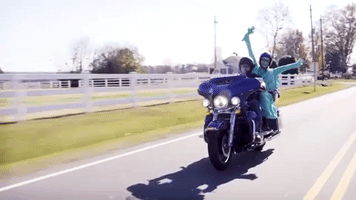 Harley Davidson Motorcycle GIF