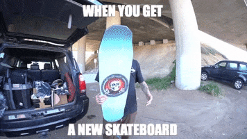 skateboarding powellperalta GIF by Skate One