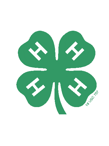 Texas 4-H Sticker