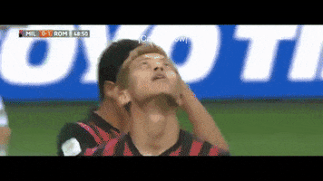 tancredinho  GIF
