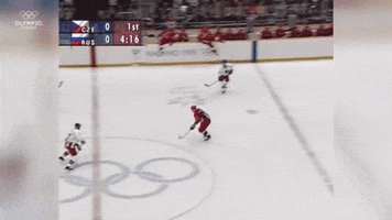Гашек GIF