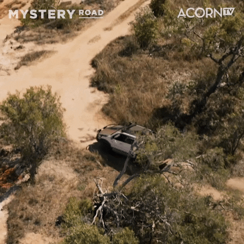 Driving Mystery Road GIF by Acorn TV Latin America