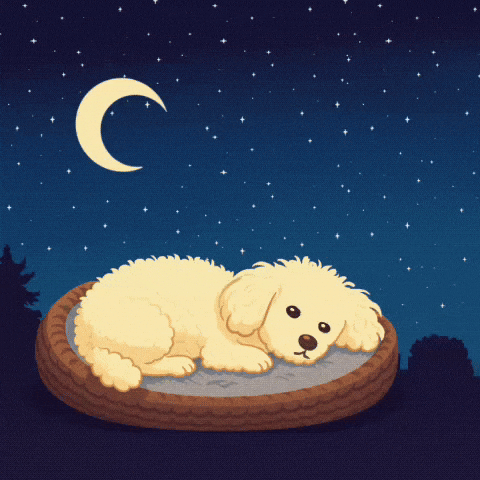 Good Night Dreaming GIF
