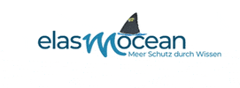 Elasmocean GIF