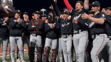 Northeastern Athletics GIF