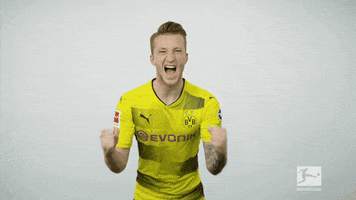 happy borussia dortmund GIF by Bundesliga
