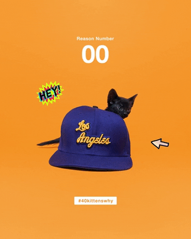 Save Them All Los Angeles GIF by Best Friends Animal Society