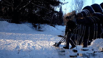 Pileated Woodpecker Snow GIF