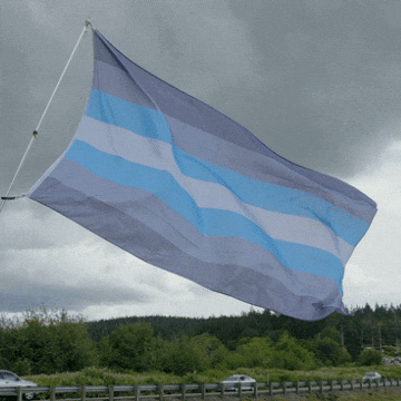 Pride Lgbt GIF by AceArchive