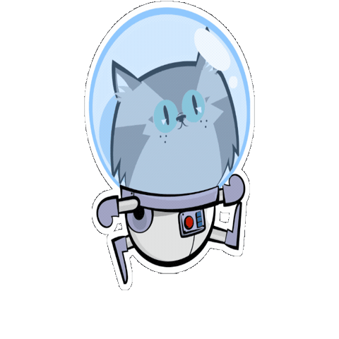 Space Cat Sticker