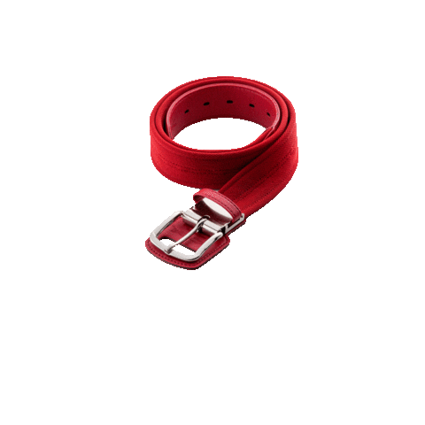 CoreEnergyBelt Sticker