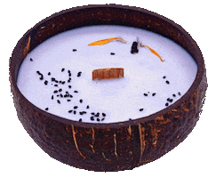 Sticker by Tropikalia.cz