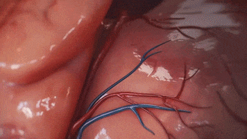 Heart GIF