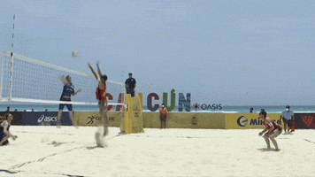 Come On What GIF by Volleyball World