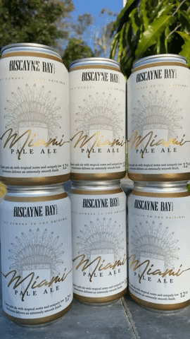 Beer Miami GIF by Biscayne Bay Brewing