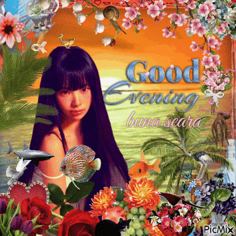 Good Evening GIF