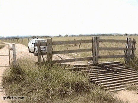 Opening Gate GIFs - Get the best GIF on GIPHY