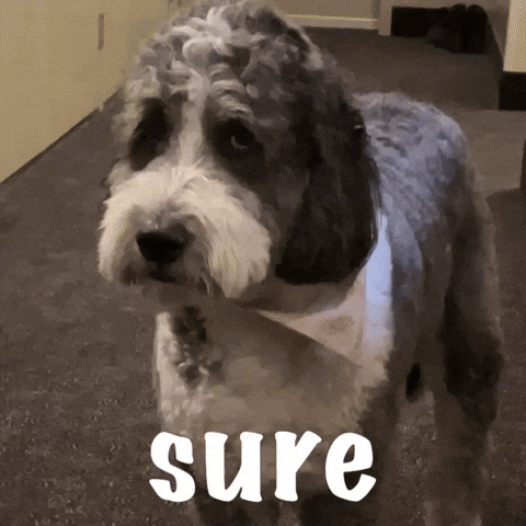 Sure GIF