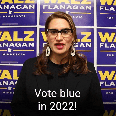 Voting Democratic Party GIF by The Democrats