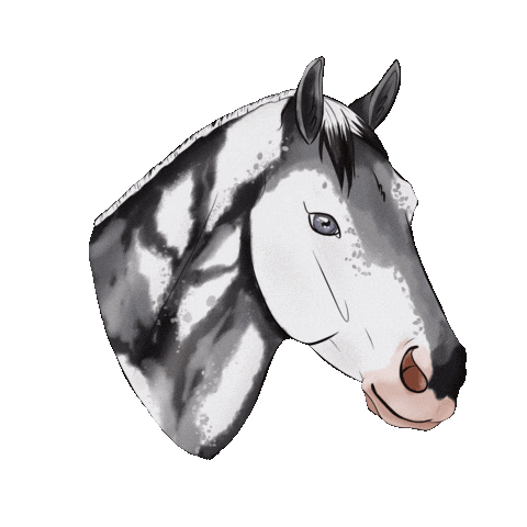 Horse Sticker
