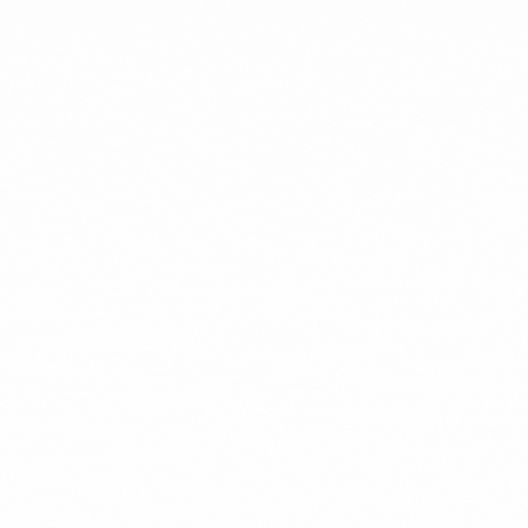 TraceyHernly GIF