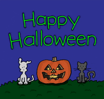 Black Cat Halloween GIF by Chippy the Dog