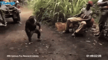 jagadeesh  GIF