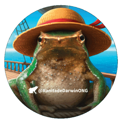 One Piece Nami Sticker by Ranita de Darwin ONG