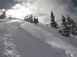 wolf creek pizza GIF by Elevated Locals