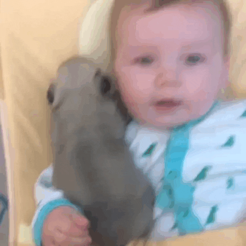 Video gif. Baby dressed in a dinosaur onesie in a bouncer chair snuggles a puppy in its arms.