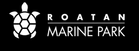 Rmp GIF by Roatan Marine Park