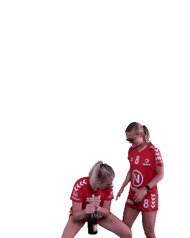 Wilhelmshaven Whv Sticker by whvhandball