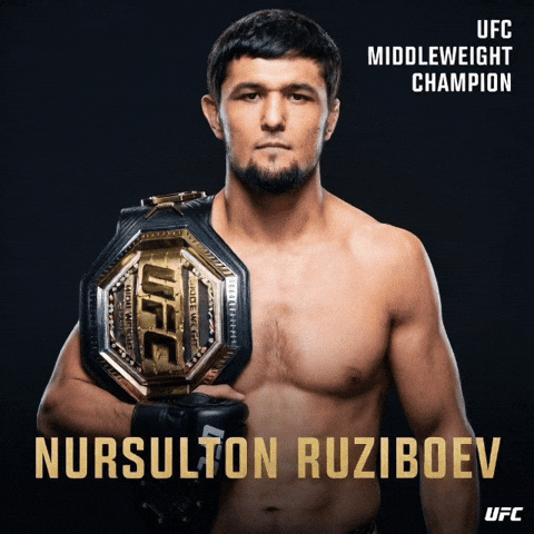 Ufc Champion GIF